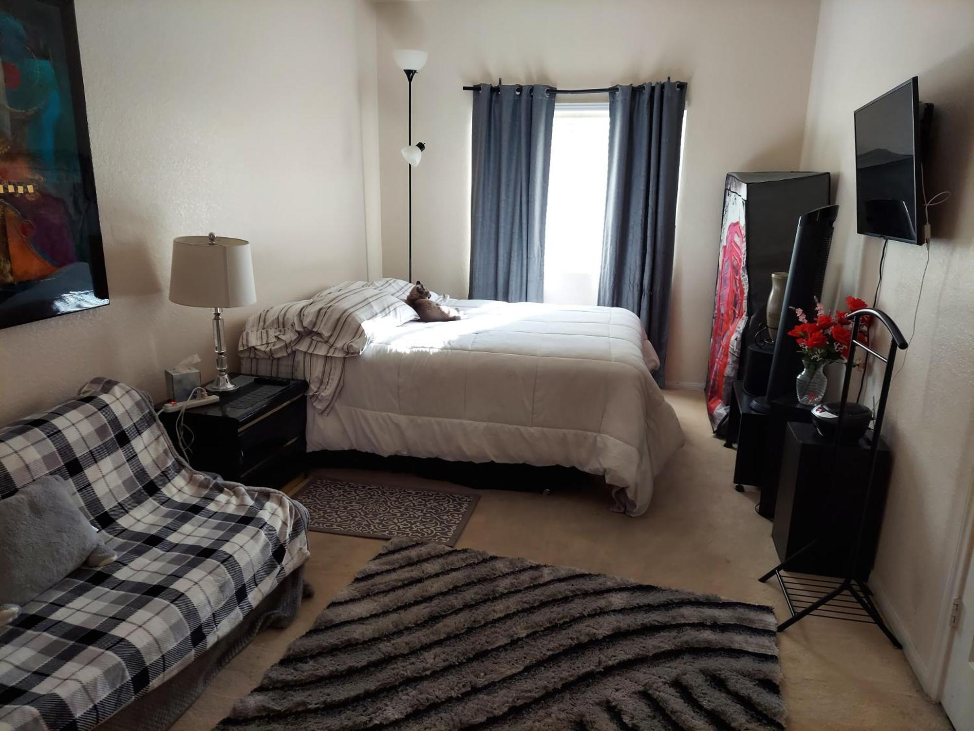 Catmosphere Las Vegas Zimmer foto